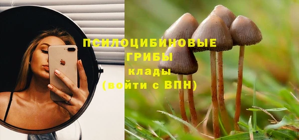 гидропоника Абдулино