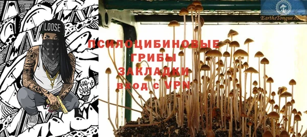 спиды Абаза