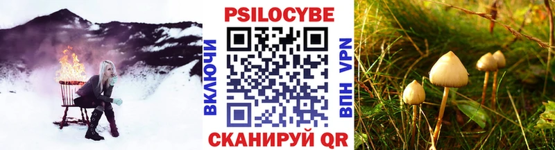 Псилоцибиновые грибы GOLDEN TEACHER  Сорочинск 