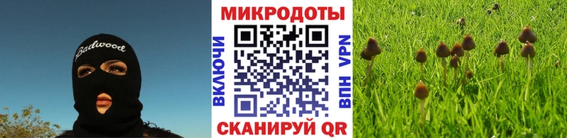 Галлюциногенные грибы мицелий Сорочинск